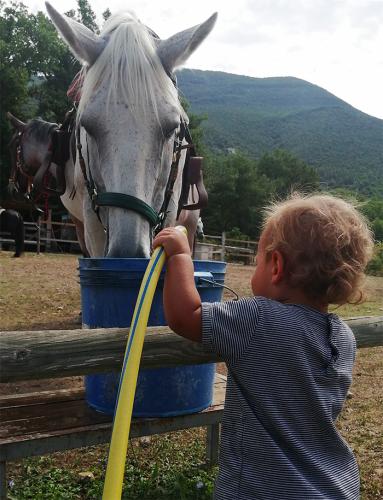 cavalo-e-bimbo