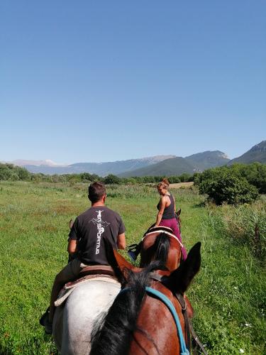 persone-cavallo-di-schiena