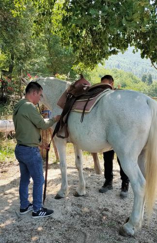 uomo-prepara-cavallo